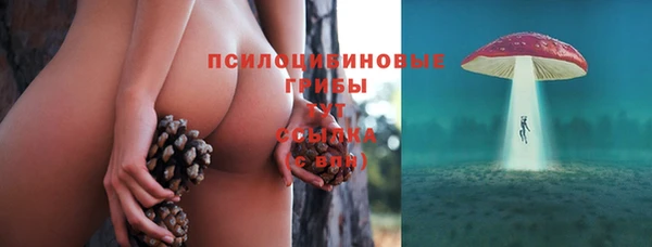 хмурый Балахна